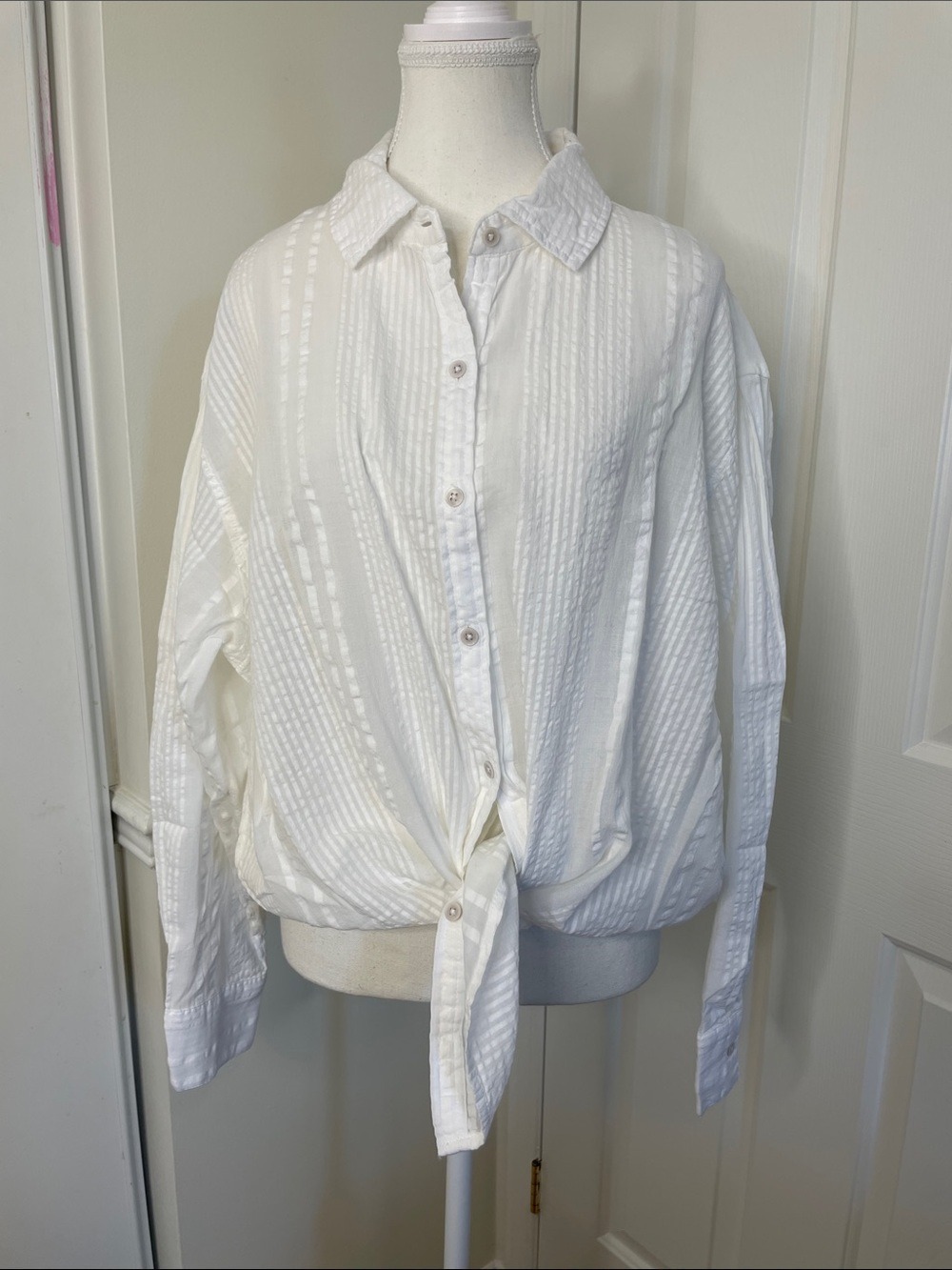 NWT Aerie Seersucker Oversized Cover-Up Button Down Shirt M - Picture 8 of 13